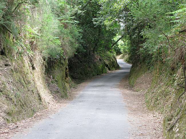 Ponte de Lima to Rubiães